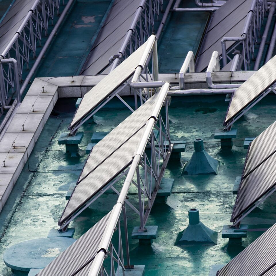 ecology-sunny-summer-global-alternative ecology-sunny-summer-global-alternative